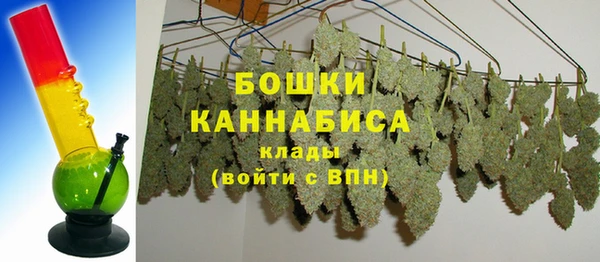 стаф Нефтегорск