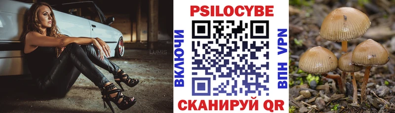 Псилоцибиновые грибы Psilocybine cubensis  купить  сайты  Чишмы 